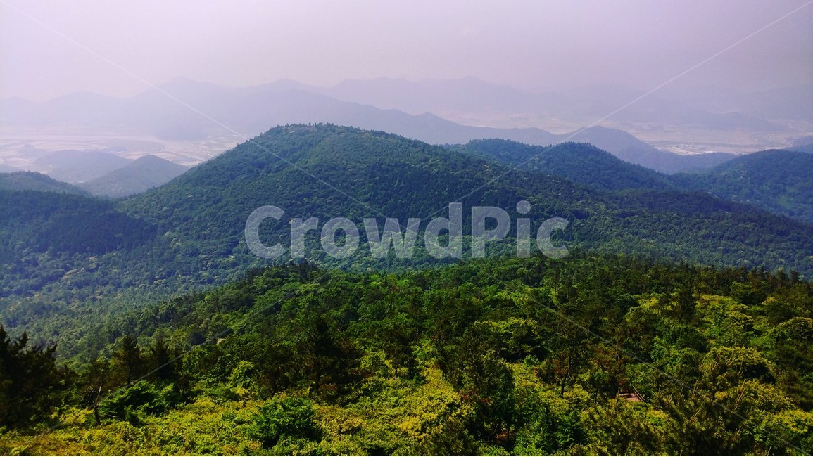 풍경,억불산,장흥,자연,식물,우드랜드,편백나무,편백나무숲,숲,억불산정상,산,날씨,여름,배경,landscape,mountain,nature,plants,tree,forest,weather,summer,background,자연,풍경,nature,landscape,한국자연풍경,한국자연경관,korea nature landscape,outdoors,옥외,hill,언덕