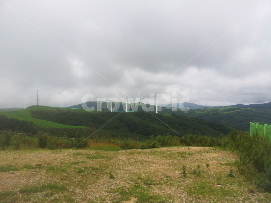 자연,목초지,grassland,field,들,nature,outdoors,옥외