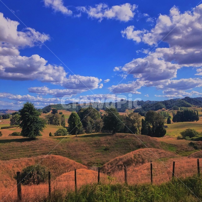 뉴질랜드,로터루아,자연,대자연,하늘,맑음,구름,newzealand,nature,sky,sunny,tree,cloud,자연,풍경,nature,landscape,해외,외국,세계,foreign,oversea,world,세계자연풍경,해외자연풍경,외국자연풍경,world nature landscape,outdoors,옥외,grassland,목초지,field,들