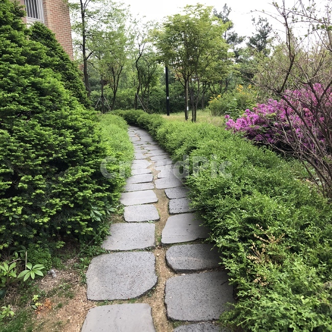 산책,산책로,예쁜,봄,꽃