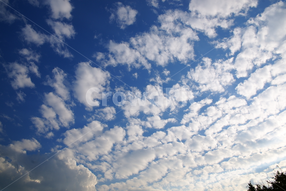 풍경,야외,nature,azuresky,구름,자연,푸른하늘,weather,outdoors,sky,날씨,옥외,하늘,cumulus,cloud,적운,자연,풍경,nature,landscape