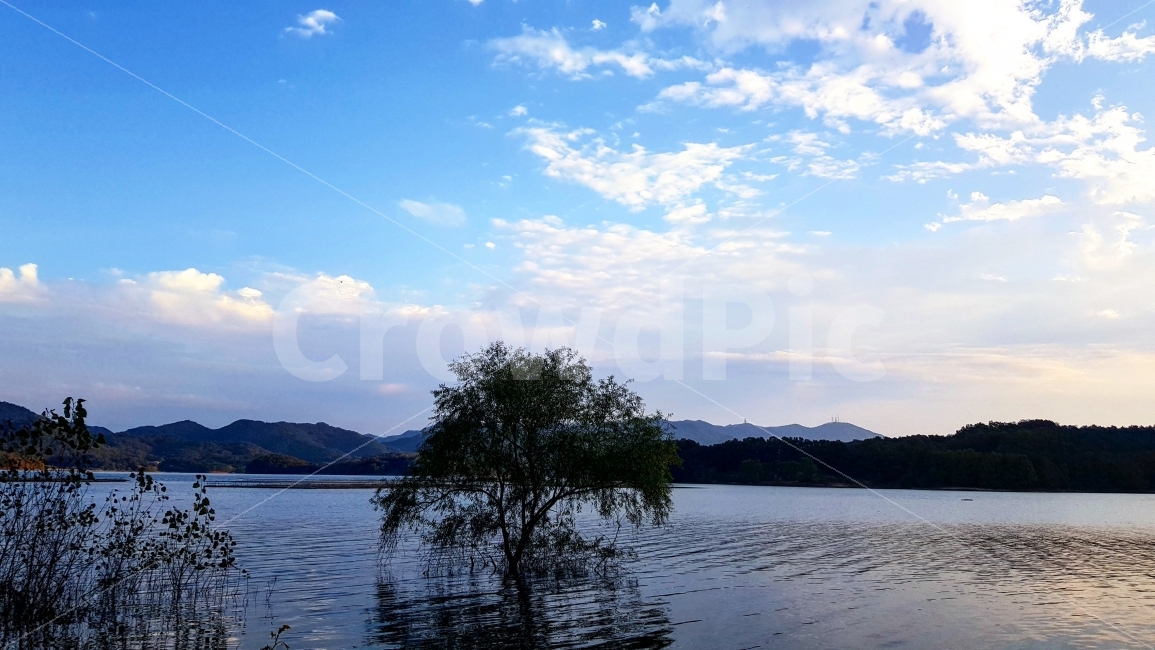 대청호,나무,호수,맑음,풍경,자연,풍경,nature,landscape,한국자연풍경,한국자연경관,korea nature landscape,식물,plants,나무,trees,wood,water,물,outdoors,옥외,lake