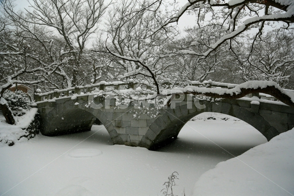 선운사,겨울,눈,사찰,설경,겨울,계절,winter,season,자연,풍경,nature,landscape,outdoors,옥외,storm,폭풍,snow,blizzard,눈보라