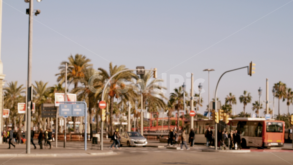 스페인,바르셀로나,유럽,버스,야자수,교차로,신호등,차도,도시,풍경,city,landscape,해외,외국,세계,foreign,oversea,world,세계도시풍경,해외도시풍경,외국도시풍경,world cityscape,사람들,대중,군중,other people,crowd,road,도로,automobile,자동차,vehicle,차량,transportation,교통,car,차,bus,town,building,건물,urban,어반,시티,downtown,도심