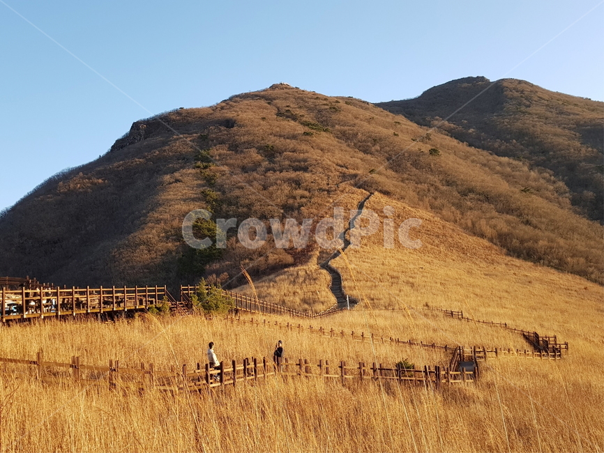 영남알프스,산,자연,nature,갈대,outdoors,자연,풍경,nature,landscape