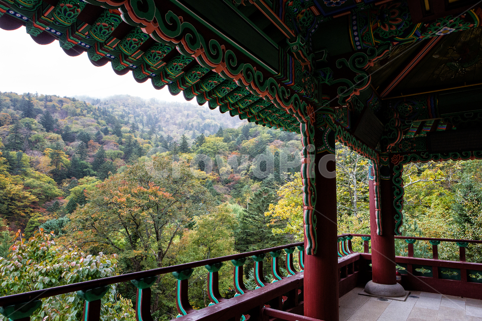 강원도,상원사,절,사찰,오대산,울긋불긋,평창군,한국,나무,식물,실외,풍경,가을,단풍,기와,배경,난간,가을,계절,fall,autumn,season,한국전통,한국문화,korean traditional,korean culture,handrail,banister,railing