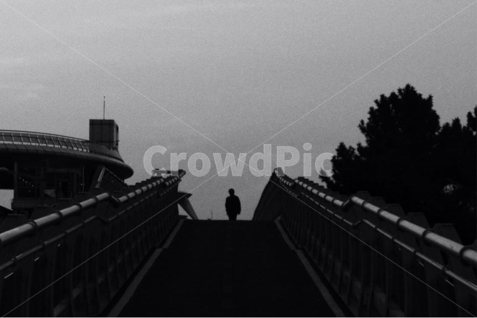 뒷모습,사람,흑백,흑백사진,거리,흑백,모노톤,monochrome,black and white
