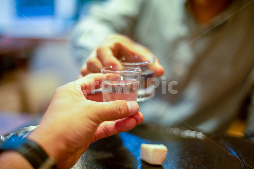 건배,친구,술자리,술잔,치얼스,짠,소주,술,한잔,감성,감성사진,사람,인물,인간,human,person,신체일부,몸,body,술,주류,alcohol