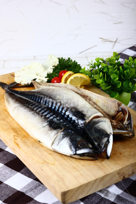 고등어,생선,등푸른생선,구이,생선구이,해산물,음식,식품,신선,싱싱,mackerel,fish,grill,seafood,food,fresh,crispy,음식,식재료,요리,food,cook,meal,dishes,food reserves,수산물,해산물,fishery products,seafood