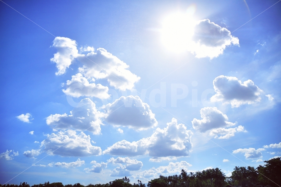 하늘,태양,구름,뭉게구름,햇빛,나무,그룹,빛,sky,sun,sunshine,clouds,floaing,flow,cumulus,sunlight,trees,자연,풍경,nature,landscape,outdoors,옥외,azure sky,푸른 하늘