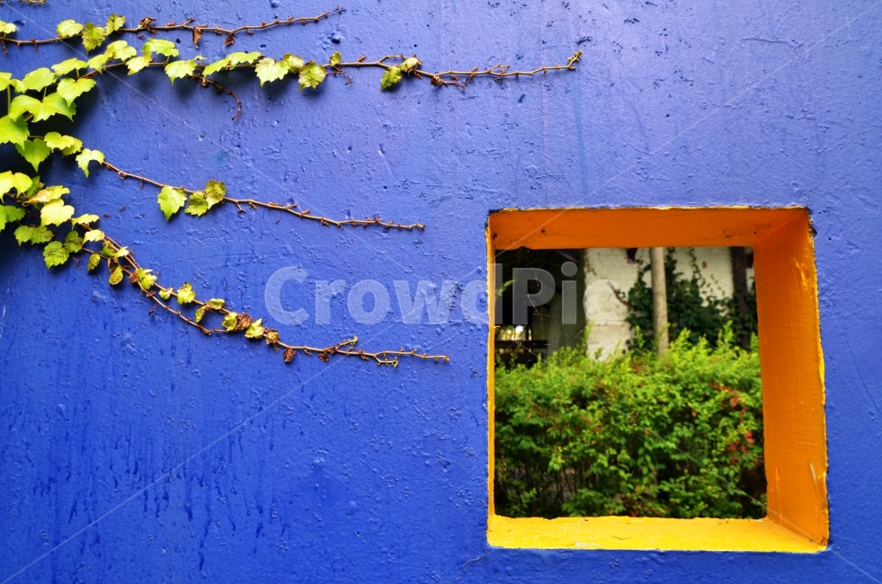 덩쿨,네모,플레임,식물,자연,풍경,식물,자연,plants,nature,색깔,색상,색채,색감,color sense,color sensitivity,feeling of color,건축물,건물외관,exterior,building,structure,architecture,construction