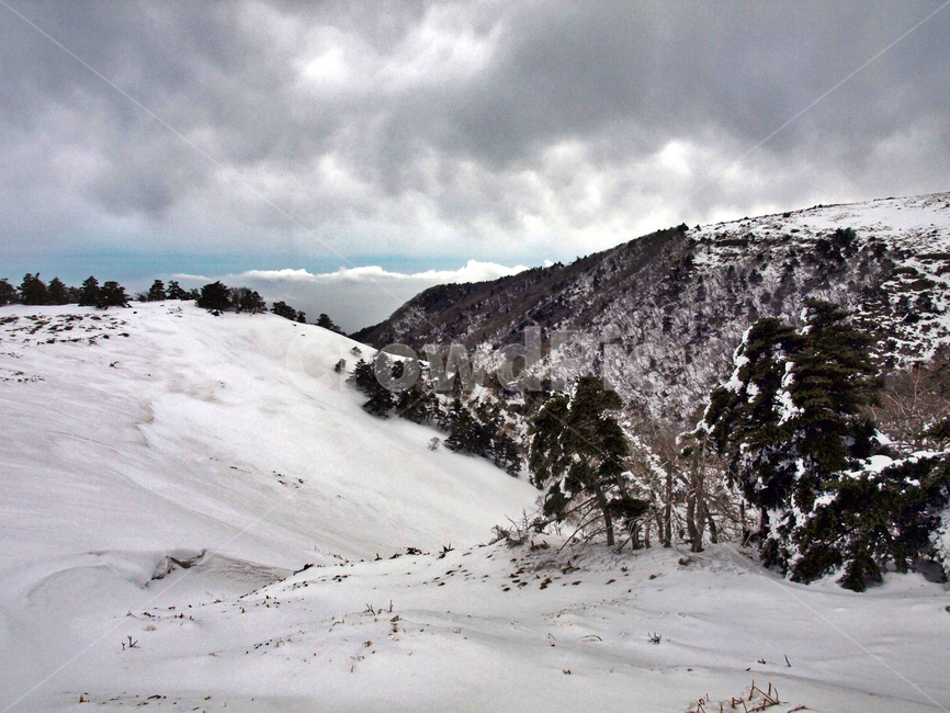 어리목,한라산,제주도,겨울산,겨울,설화,눈,설경,구름,겨울,계절,winter,season,자연,풍경,nature,landscape,한국자연풍경,한국자연경관,korea nature landscape,제주도,jeju,jeju island,outdoors,옥외,mountain,산