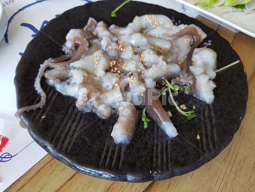 낙지,해산물,한식,먹방,날것