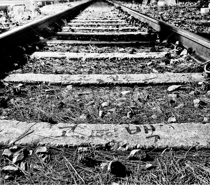 철길,기차길,흑백,감성,쓸쓸,감성철길,railway,철도,기찻길,traintrack,rail,레일,흑백,모노톤,monochrome,black and white,교통,교통수단,traffic,transportation