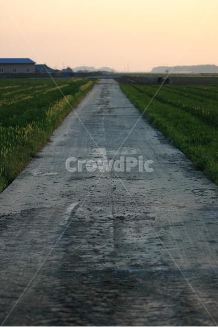 길,도로,way,road,풍경,ladnscape,자연,풍경,nature,landscape,교통,교통수단,traffic,transportation,asphalt,아스팔트