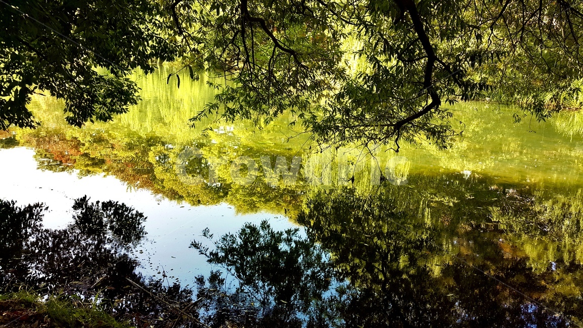 자연,풍경,물,호수,나무,풀,숲,하늘,nature,scenery,water,lake,tree,grass,sky
