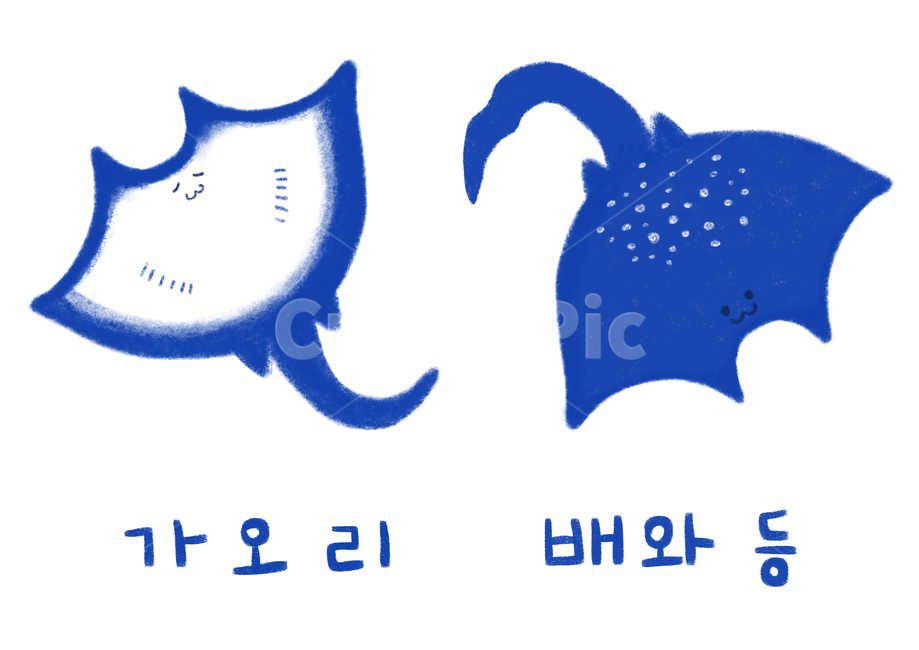 가오리,배,등,동화책,일러스트,그래픽,일러스트레이션,graphic,illustration