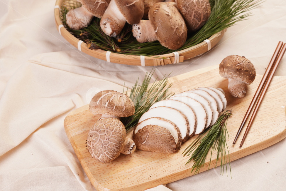 plant,식물,송화,버섯,요리,재료,버섯,mushroom,음식,식재료,요리,food,cook,meal,dishes,food reserves