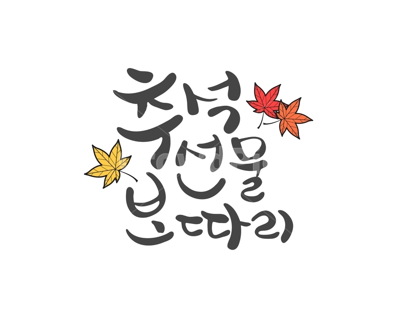 단풍잎,캘리그라피,손글씨,붓글씨,한가위,전통,명절,대보름,중추절,한국전통,한국문화,korean traditional,korean culture,누끼,remove background,캘리그라피,손글씨,calligraphy