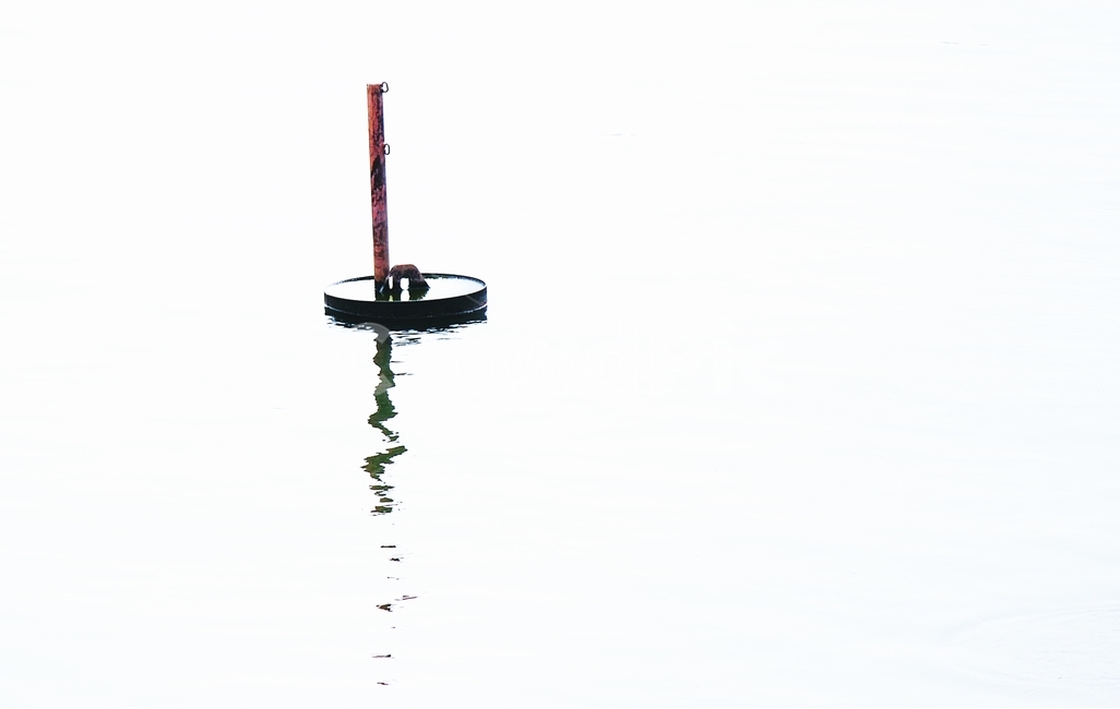 부표,물,강,바다,물결,buoy,river,sea,water