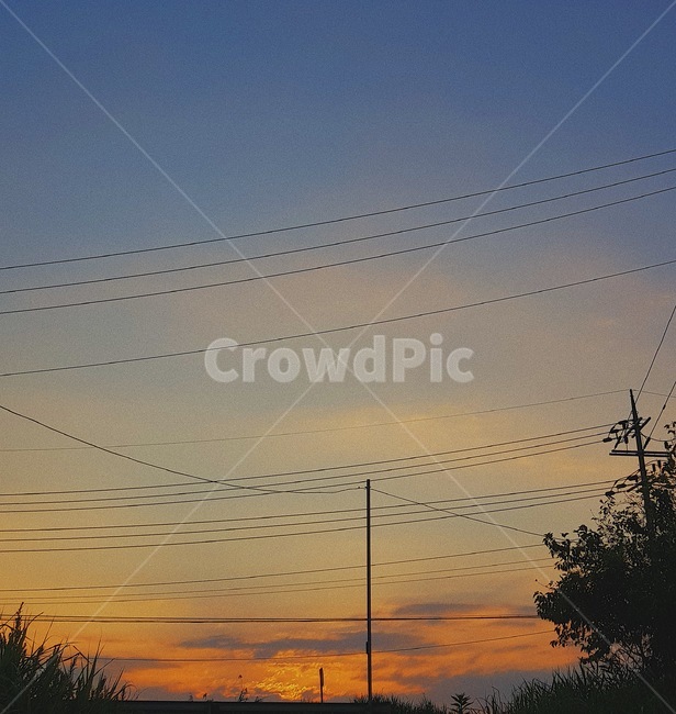 하늘,노을,나무,sky,sunset