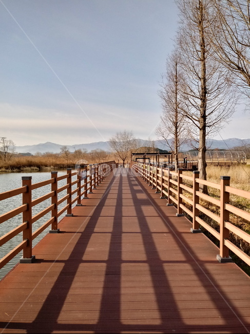 boardwalk,산책로,bridge,다리,background,배경화면