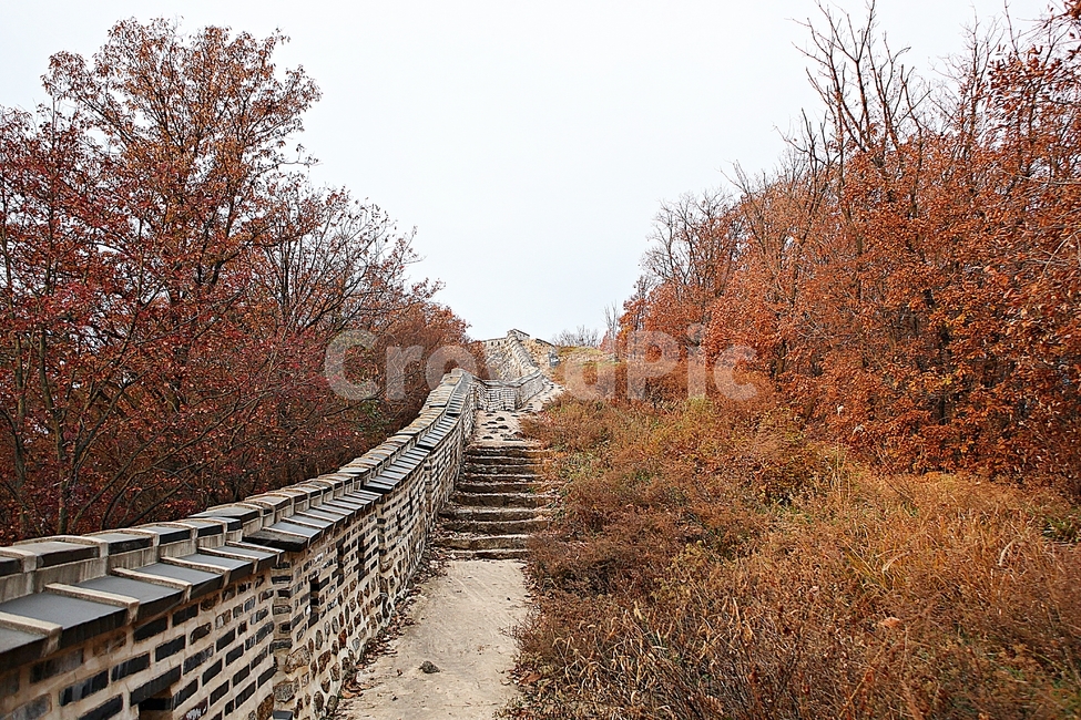 남한산성,성,성곽,단풍,낙엽,길,둘레길,숲,숲길,담돌담,가을,자연,풍경,벽,울긋불긋,산성,식물,가을,계절,fall,autumn,season
