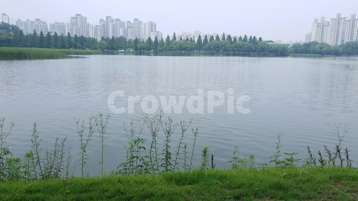 호수,호수공원,공원,식물,풍경,호수풍경