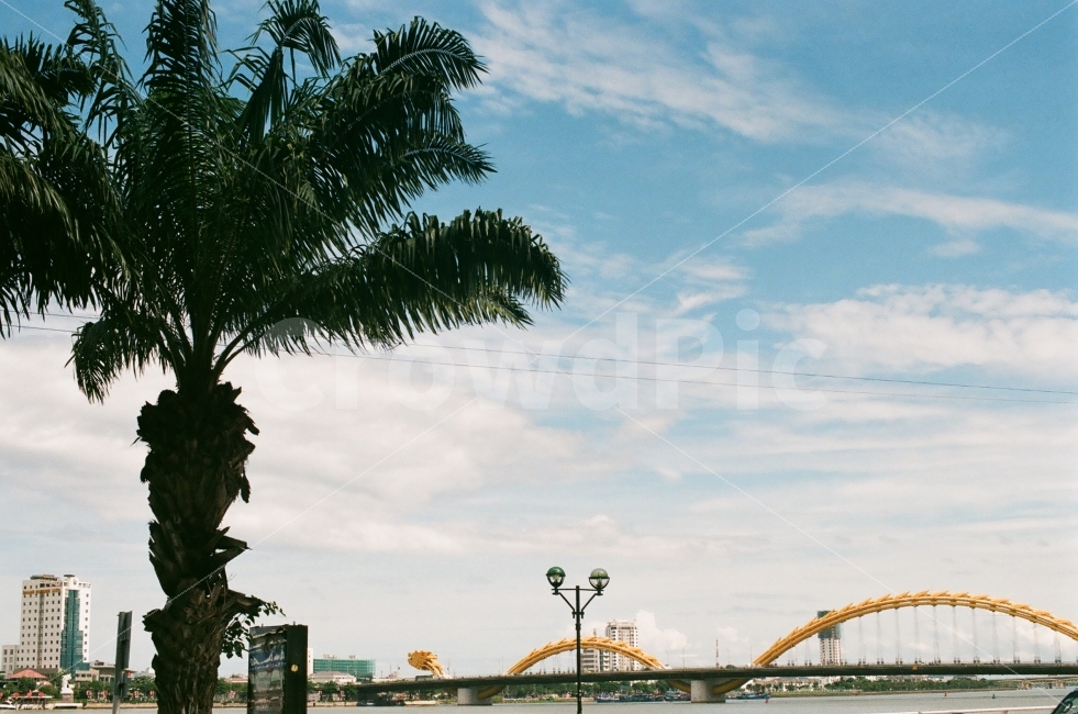 다낭,여행사진,베트남,하늘,야자수,도시,풍경,city,landscape,해외,외국,세계,foreign,oversea,world