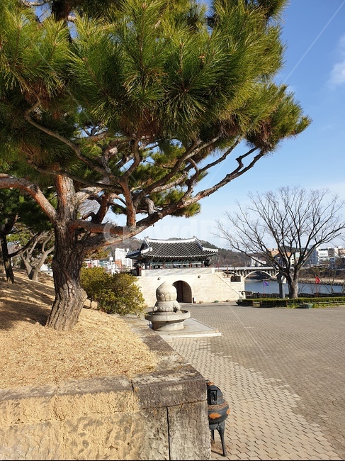 성문,나무,공원,고성,성,castlegate,tree,park,castle