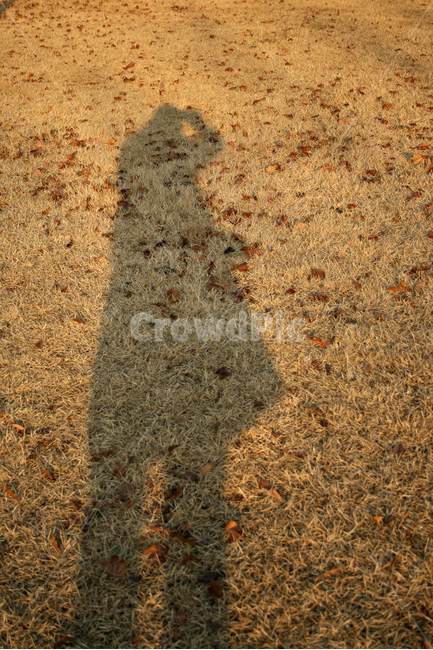 그림자,낙엽,잔디,혼자,가을,nature,가을,계절,fall,autumn,season,사람,인물,인간,human,person,인물실루엣,사람실루엣,character silhouette,human silhouette,고독함,외로움,쓸쓸함,우울함,슬픔,lonely,solitary,ground,바닥,road,도로