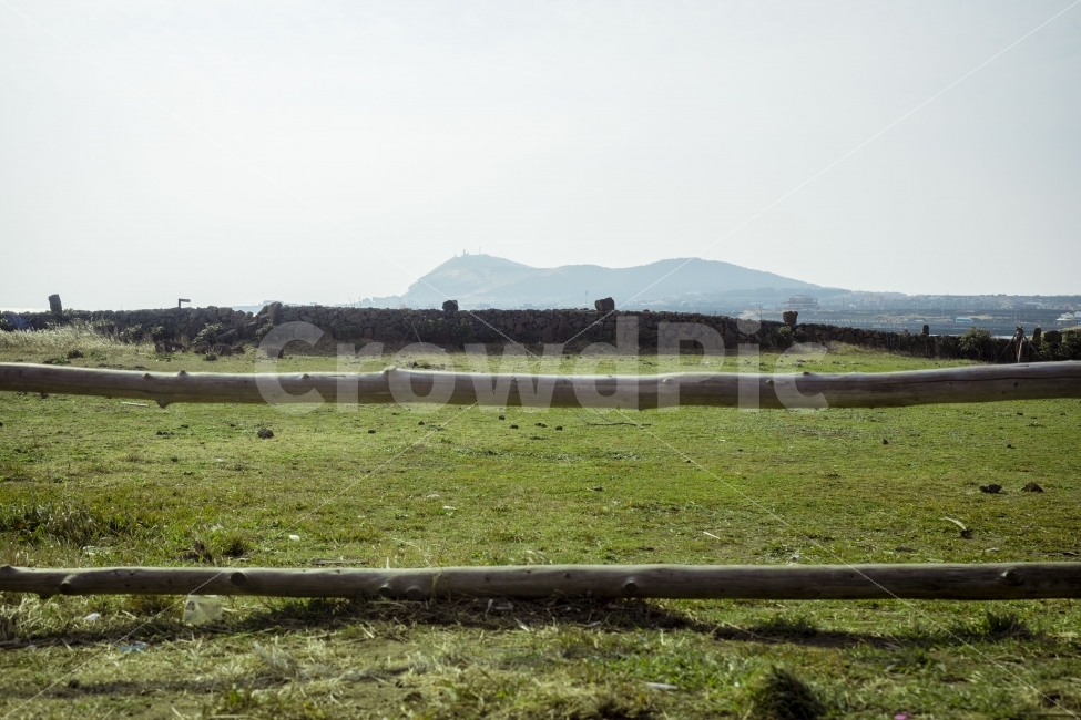 제주,우도,색감,초록,jeju,colors,colours,green,자연,풍경,nature,landscape,제주도,jeju,jeju island