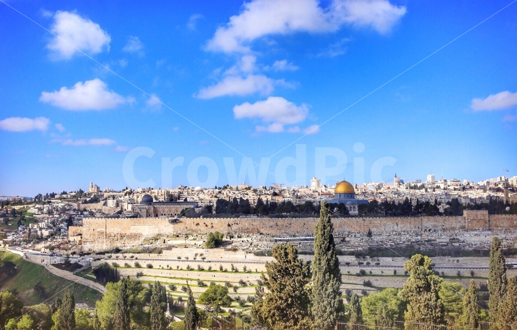 여행,이스라엘,성지순례,풍경,휴가,해외,도시,풍경,city,landscape,해외,외국,세계,foreign,oversea,world,tree,나무,plant,식물,fir,전나무