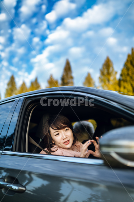 자동차,세단,여행,드라이브,나무,하늘,창문,교통,사람,vehicle,automobile,여자,여성,사람,인물,인간,human,person,여성,여자,woman,female,lady,여행,휴가,traveling,vacation,trip