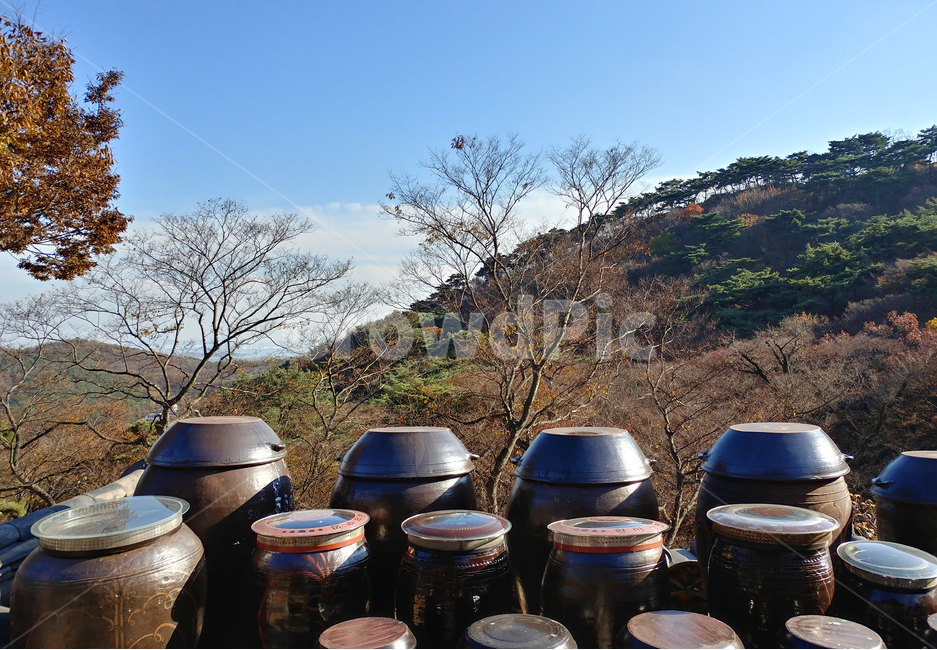 하늘,산,장독,전통,나무,가을,장독대,자연,풍경,nature,landscape,한국전통,한국문화,korean traditional,korean culture