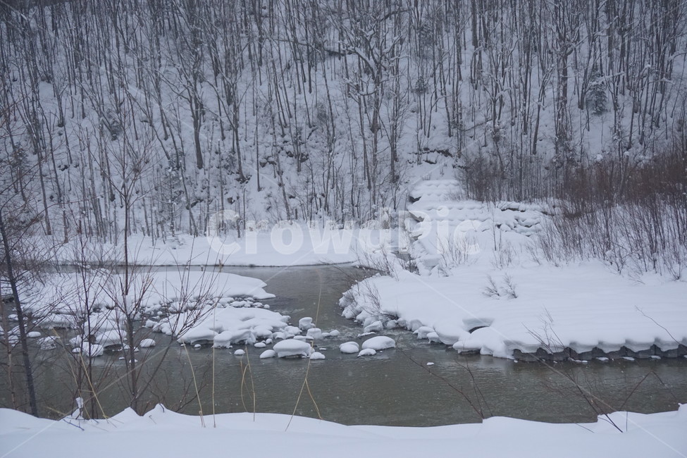 겨울,겨울산,폭설,눈,winter,눈길,겨울나무,홋카이도,snow,hokkaido,street,삿포로,나무,산속,설산,trees,냇가,계곡,겨울,계절,winter,season,자연,풍경,nature,landscape,outdoors,옥외