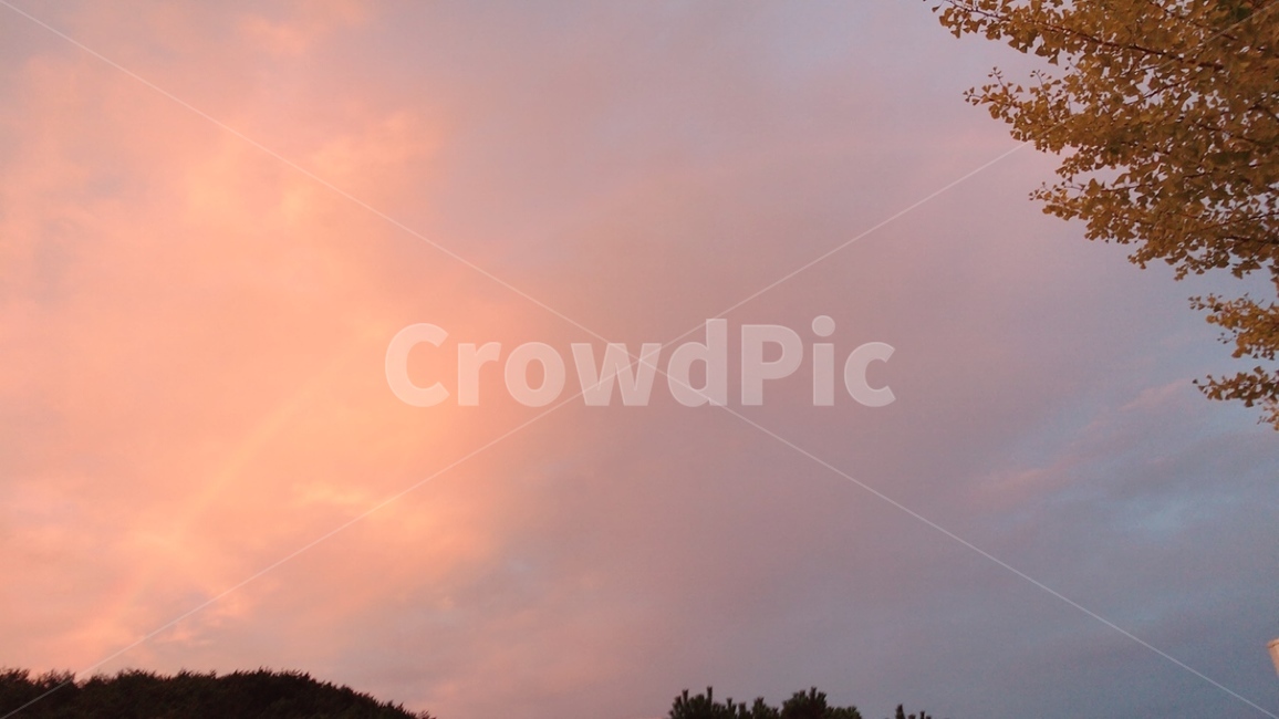 나무,산,한국자연풍경,구름,하늘,색,가을,계절,자연,풍경,가을,계절,fall,autumn,season,자연,풍경,nature,landscape,outdoors,옥외
