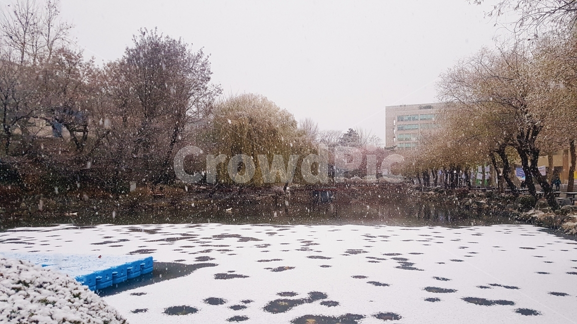 자연,호수,나무,풍경,눈,설경,눈내림,물,물가,폰카,학교,얼음,sky,lake,snow,snowing,겨울,계절,winter,season