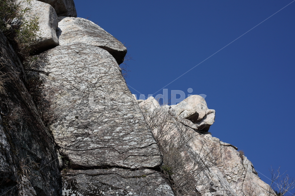 금산,바위,남해,rock,한려해상국립공원,남해금산,자연,풍경,nature,landscape