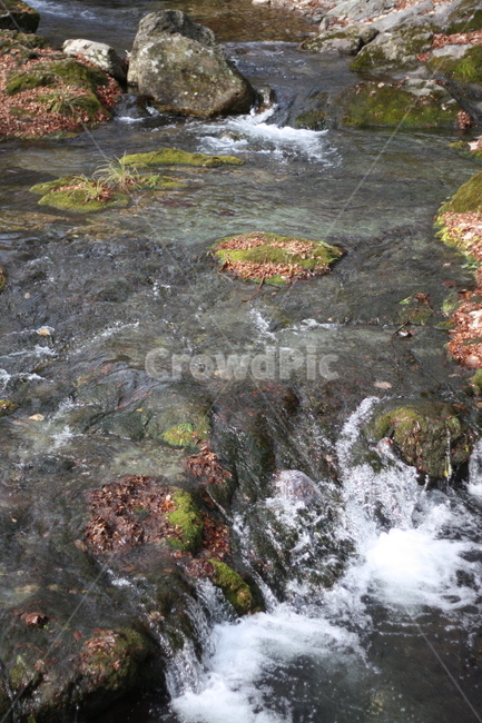 가을,계곡,가을계곡,자연,계곡물,자연,풍경,nature,landscape,water,물,outdoors,옥외,stream,흐름,creek,작은 만