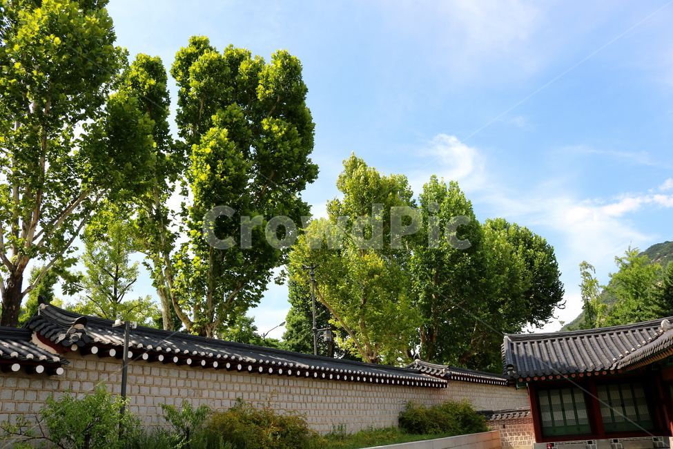 경복궁,고궁,기와지붕,광화문,옛날집,서울,한국전통,한국문화,korean traditional,korean culture,랜드마크,landmark,tourist attraction,한국랜드마크,한국관광지,한국명소,korea landmark,korea tourist attraction,건축물,건물외관,exterior,building,structure,architecture,construction