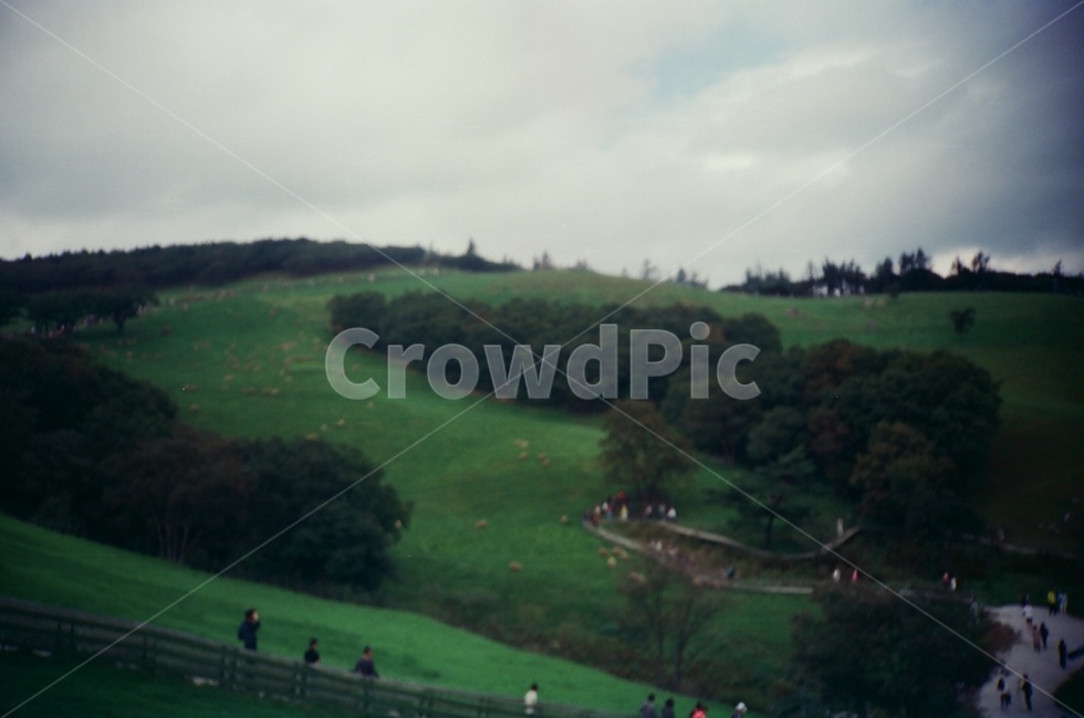 field,outdoors,nature,자연,잔디,초록