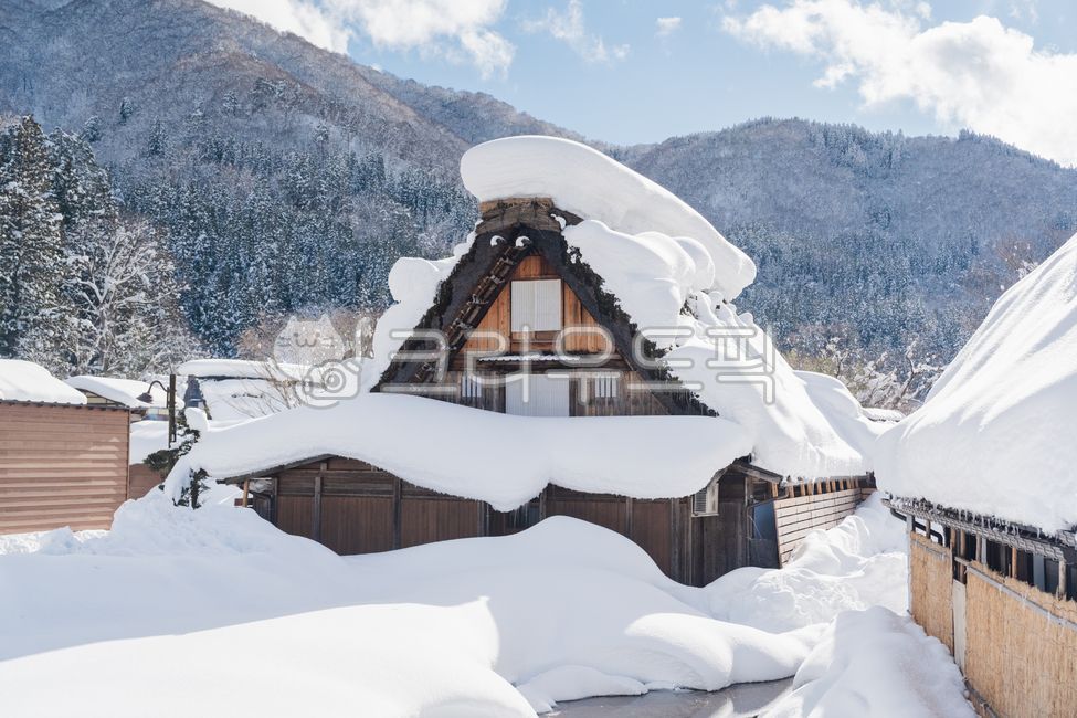 일본,시라카와고,나고야,눈풍경,눈,snow,일본가옥,일본겨울