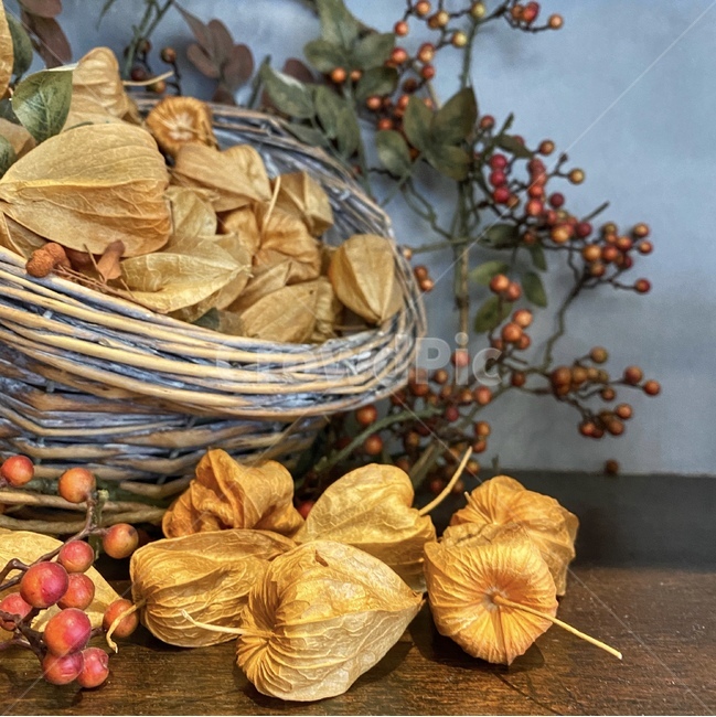 plant,식물,nut,너트,food,음식,vegetable,야채,명절,추석,설날,제사,풀,열매,봄,가을,바구니
