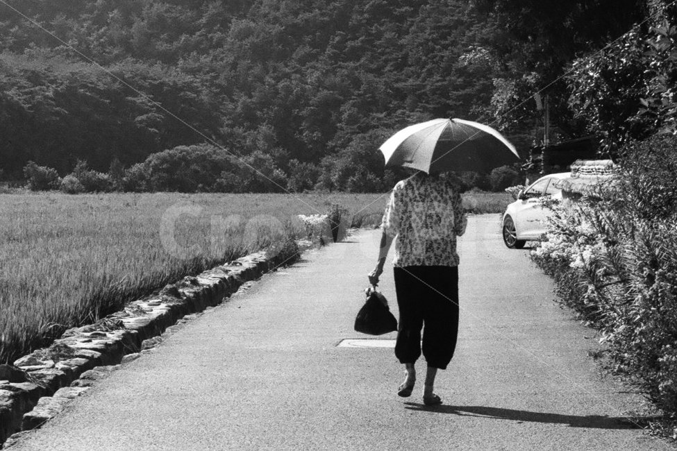 할머니,시골,뒷모습,시골길,필름사진,시골,마을,풍경,landscape,country,rural,town,사람,인물,인간,human,person,노인,어르신,old man, senior citizen,흑백,모노톤,monochrome,black and white