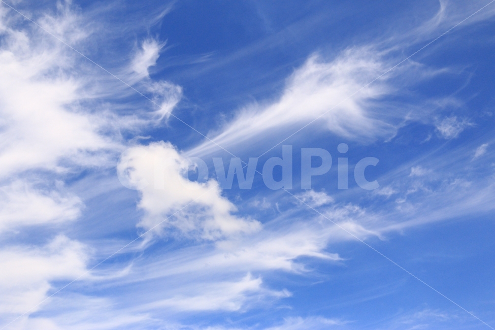 일본,북해도,비에이,후라노,구릉지,배경,여름,초록,하늘,자연,풍경,nature,landscape,azure sky,푸른 하늘,outdoors,옥외,sky