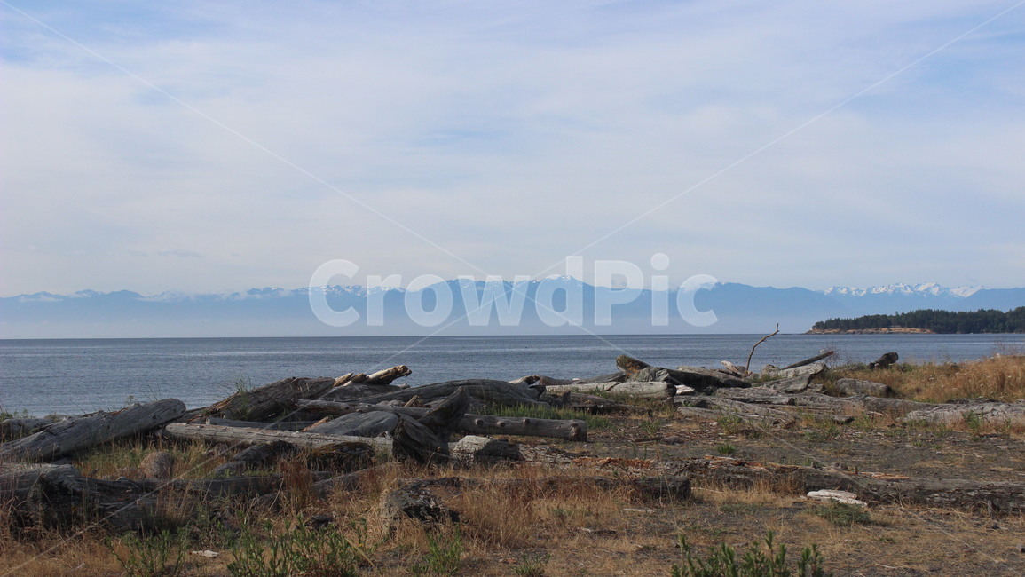 nature,자연,바다,sea,해변,풍경,캐나다,canada,자연,풍경,nature,landscape