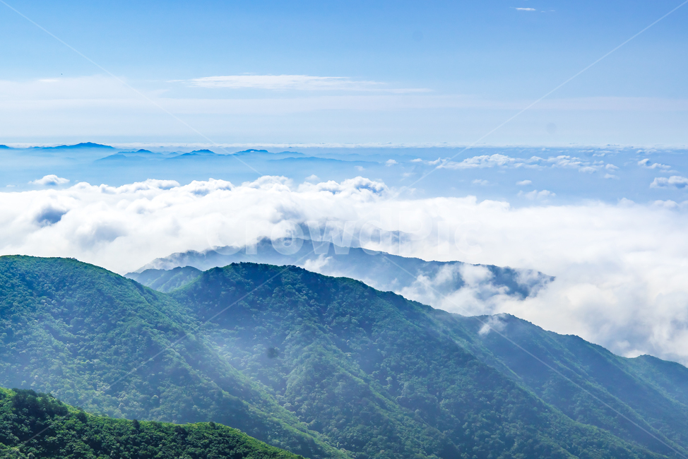 풍경,자연,풀,초록,나무,소백산,운해,구름,자연,풍경,nature,landscape,한국자연풍경,한국자연경관,korea nature landscape,outdoors,옥외,mountain,산,mountain range,산맥