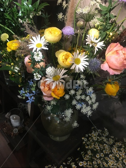 plant,식물,꽃부케,flowerarrangement,blossom,꽃