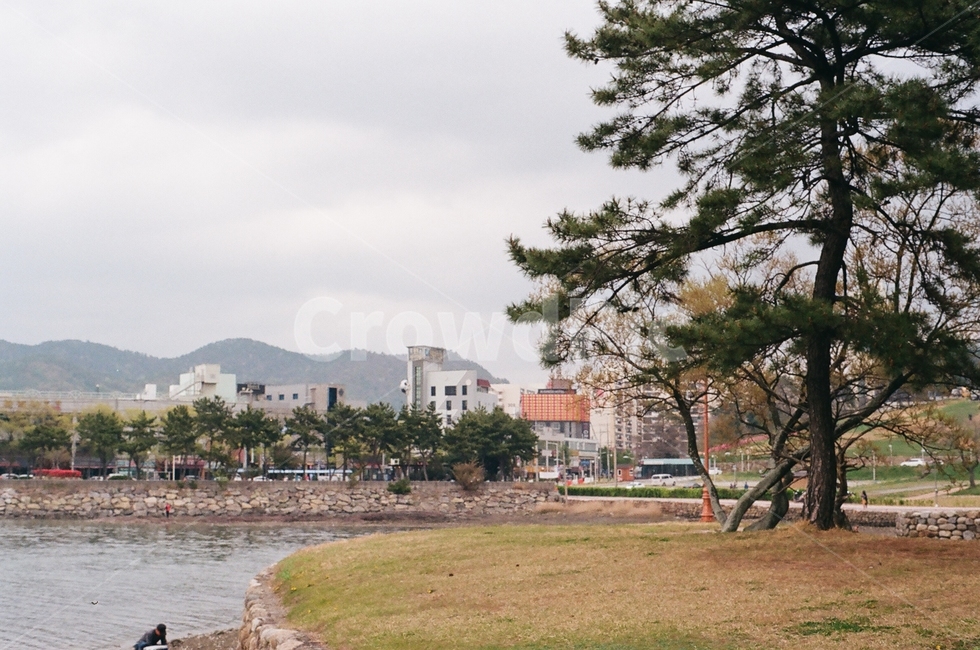호수,강,필름,나무,정원